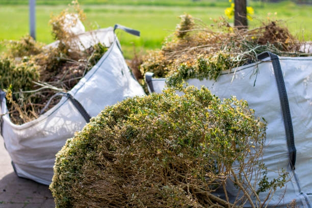 Debris Removal in Warm Springs, CA