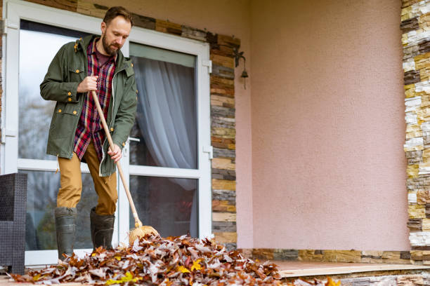 Best Furniture Removal Near Me  in Warm Springs, CA